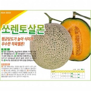 아시아종묘 씨앗 멜론 쏘렌토살몬 10립, 1개