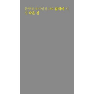 작은 신, 문학동네, 김개미