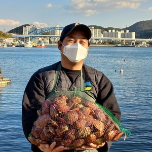 통영 산지직송 신선한 홍가리비, 1박스, 홍가리비 1kg