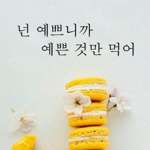 뮤즈 넌 예쁘니까 예쁜 것만 먹어 레터링 감성 글귀 스티커 시트지, 검정