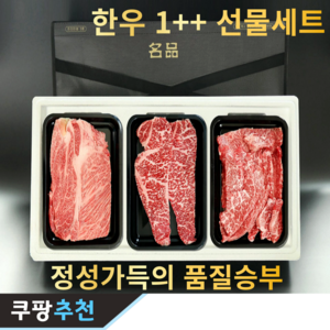 정성가득 투뿔 한우 선물세트 구이용 1++ 당일발송, 1개, 300g