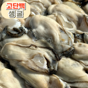 [산지직송] 품질선별 통영 생굴, 1개, 생 굴 3kg