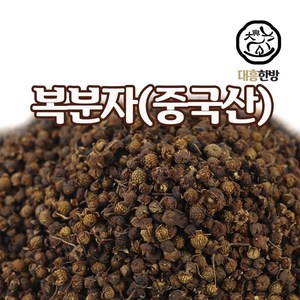 대흥한방 복분자 300g 중국산, 1개