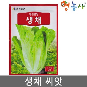 생채 씨앗 2g 아삭이 상추씨 생채상추 종자 키우기, 1개