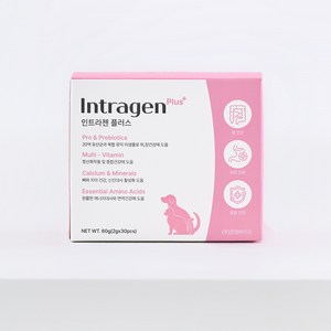 인트라젠 반려동물 영양제