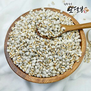 힘찬농부오달봉 수입 율무 율무쌀, 3kg, 1개