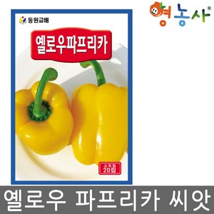 옐로우 파프리카 씨앗 20립 파프리카씨 종자 키우기, 1개