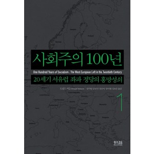 사회주의 100년 1:20세기 서유럽 좌파 정당의 흥망성쇠, 황소걸음, 도널드 서순 저/강주헌 등역