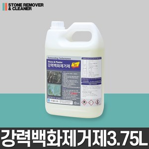 월드그린 백화제거제, 1개, 4L