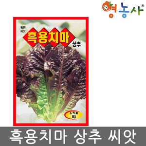 흑용치마 상추씨앗 6g 두터운 흑자색 상추씨 종자 키우기, 1개