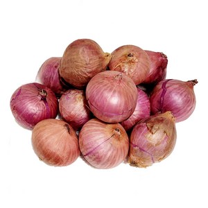 샬롯 미니양파 shallot, 1개, 500g