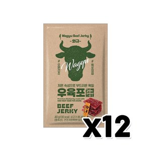 항진 와규 우육포 술안주간식40g x 12개, 40g