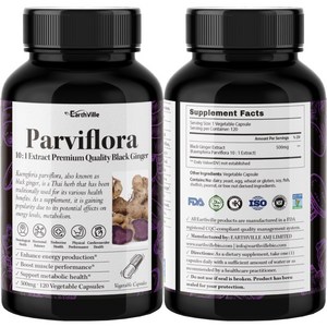 어스빌 파비플로라 흑생강 블랙진저 10배농축 추출물 500mg 베지캡슐, 1개, 120정