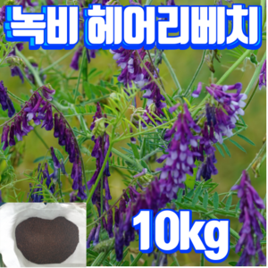 헤어리베치 씨앗 10kg - 토양 개량 질소고정 녹비종자, 1개