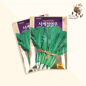 사계절열무 30g 미래종묘 잎채소류 씨앗, 1개