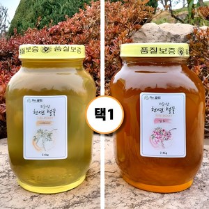 지리산 100% 자연산 아카시아 잡화 국산 자연 벌꿀 2.4kg 1병, 1개