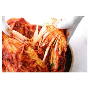 GV팔공 명품김치, 5kg, 1개