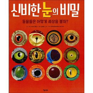 신비한 눈의 비밀:동물들은 어떻게 세상을 볼까?, 키다리