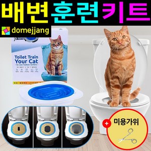 도매짱 (domejjang) 고양이 배변훈련키트 변기 자동 화장실 모래 매트 캣, 1개