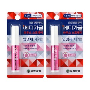 유한양행 덴탈케어 메디가글 스프레이 복숭아향, 6.5ml, 2개