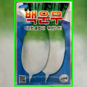 김장무 백운무 가을 무씨앗 2000립 무씨 종자, 1개