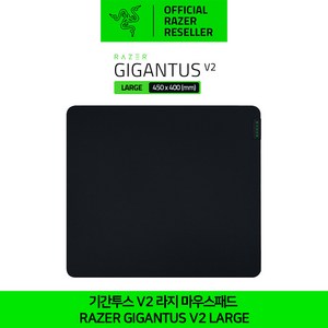 레이저 Gigantus V2 마우스패드 L, 혼합색상, 1개