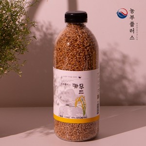 농부플러스 튀르키예산 카무트 900g, 1개