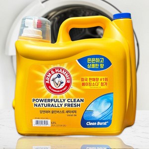 암앤해머 클린버스트 세탁세제, 6.21L, 1개