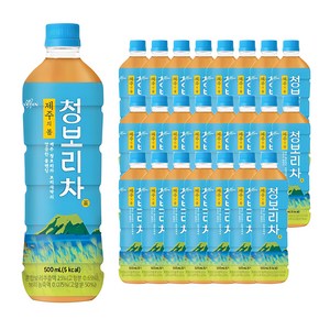 쟈뎅 제주의 봄 청보리차, 500ml, 24개