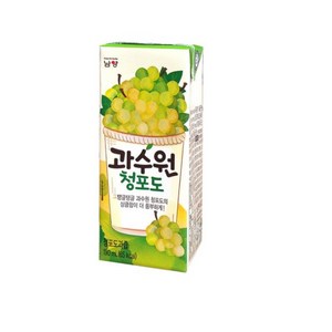 남양과수원 청포도, 190ml, 24개