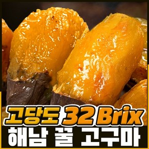 [해남직송] 달콤한 꿀 고구마 밤 호박, 한입 5kg, 1개