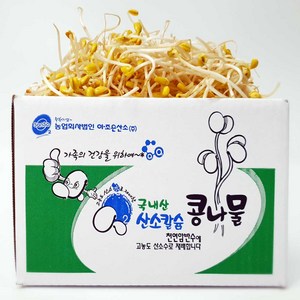 [ 평점 4.8이상 무농약 인증] 생산 콩나물 국산콩 산소 콩나물, 1kg, 1개