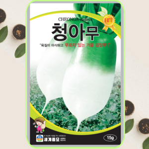 식물세계 김장무씨앗 청아무 씨앗 15g 세계종묘, 1개