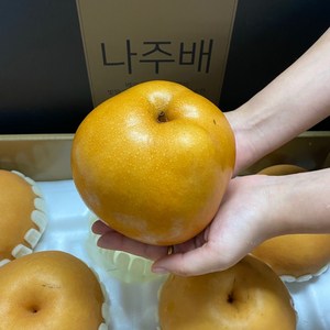 나주배 고당도 신고 배 나주직송, 1개, 7.5kg / 대 / 11~13과, 특품 선물용