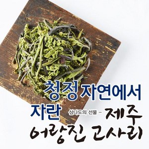 제주어랑진고사리(일반) 24년 햇 제주 어랑진 햇고사리 1.5kg (300g*5팩), 300g, 5개