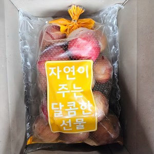 우연팜 경북 쪼꼬미 부사사과 어린이 꿀사과 한입간식 사과 가정용, 1박스, 쪼꼬미 사과 1.8kg (18과내외)