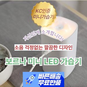 보르나 미니 LED 가습기 무소음 편리한 차량용 조용한 아늑한 조명, 화이트