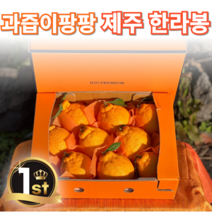 [꿀과즙폭발] 한라봉 선물세트 한라봉선물세트 설날선물세트, 1개, 가정용 1kg