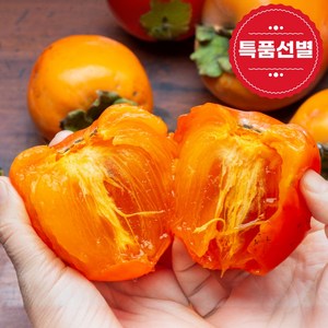 조이그린 달콤가득 대봉감 홍시 곶감용, 1박스, 2kg(대과)