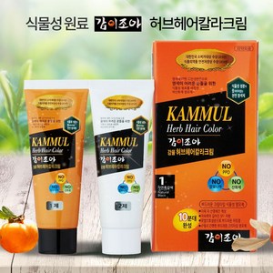 로위더스 감이조아 감물허브칼라크림 70g, 2호 (자연 갈색), 1개