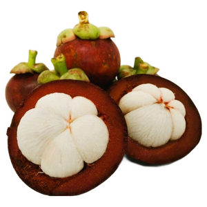 과일성지 생 망고스틴 프리미엄 로얄과 500g 1kg 2kg 3kg 5kg, 1박스, 5kg_50~60과