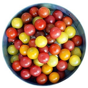 [억수로상회] 컬러 핑거 토마토, 1개, 3kg