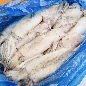 푸드마을 냉동오징어 2.7~3kg 내외 8kg 내외 중국산 연근해산, 1개, 냉동오징어(B/T)