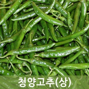 국내산 청양고추( 상) 10kg 5kg 1kg 매운고추 두리반농산, 청양고추(상) 10kg, 1개