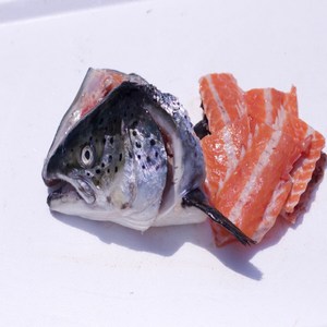 바다사나이 연어머리+갈비살 1kg 연어구이 스테이크, 1개, 연어머리 1개+갈빗대 4개~5개 1kg 내외