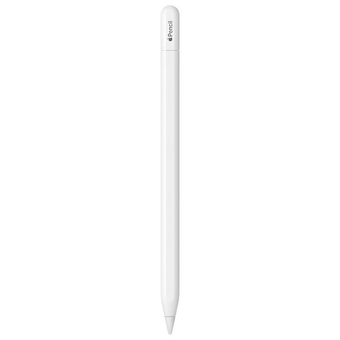 Apple 애플펜슬 USB-C MUWA3KH/A