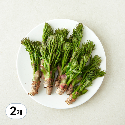 [로켓프레시] 국내산 참두릅