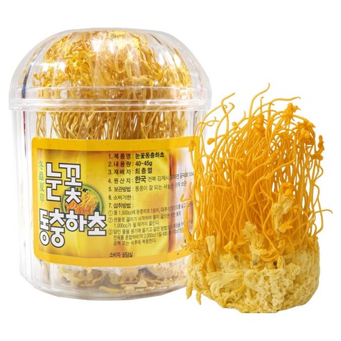 동광한방몰 눈꽃동충하초, 40g, 1개