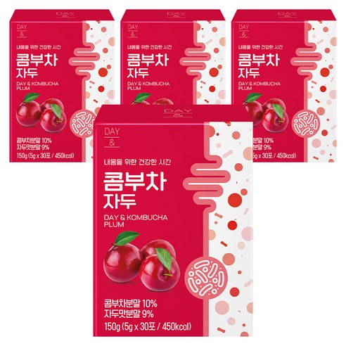 데이앤 콤부차 자두
