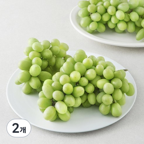 칠레 청포도